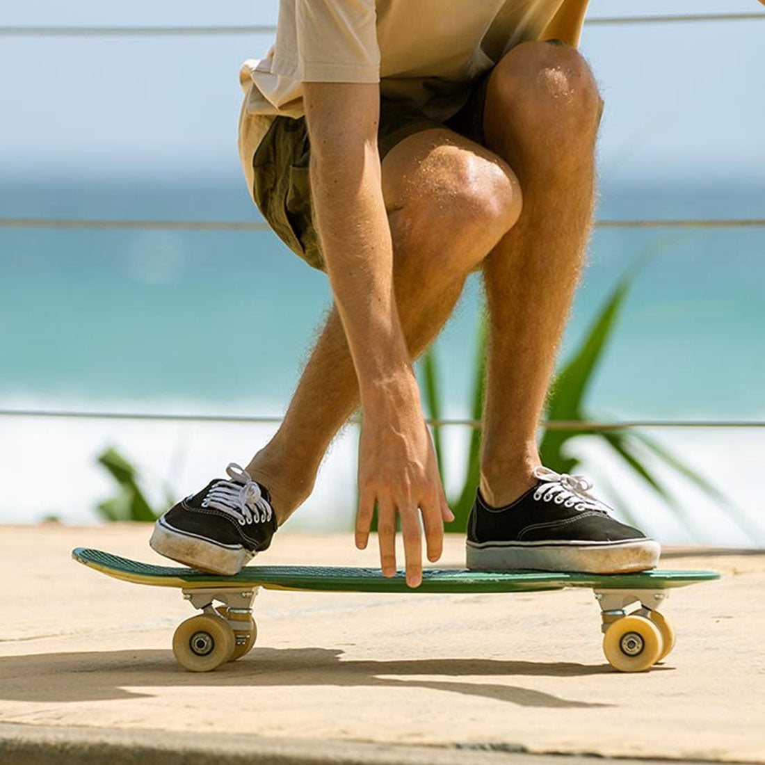 Longboards & Cruisers