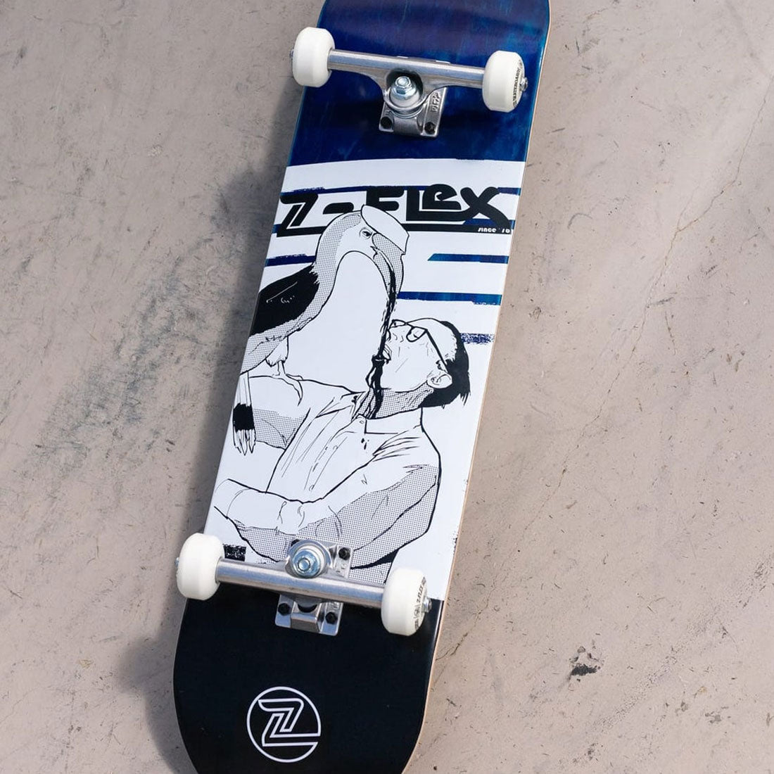 Z-Flex Darling Companion 8.5 Companion - Blue Skateboard Completes Modern Street