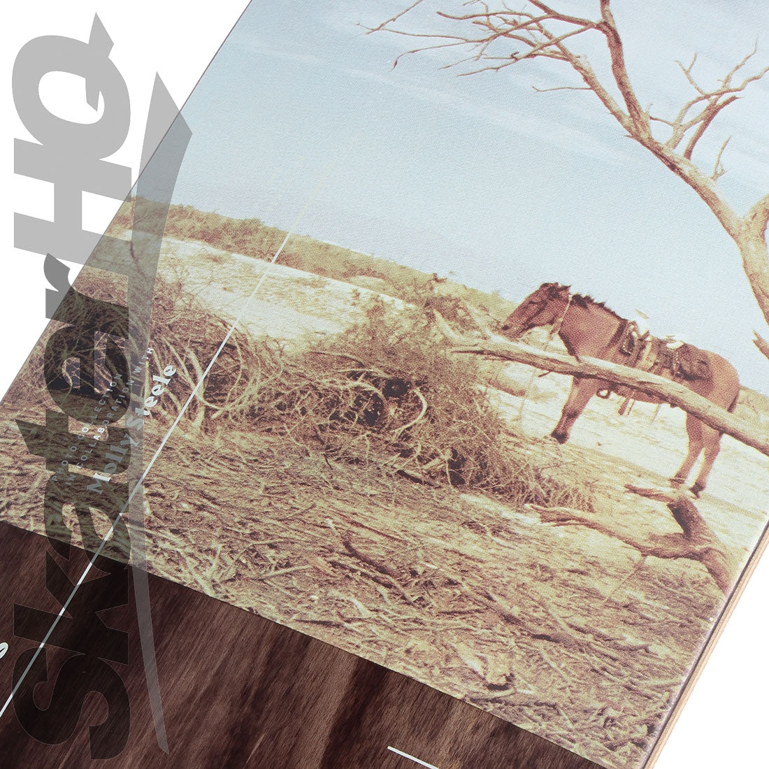 Arbor Pilsner 29 Photo 2019 Complete Skateboard Compl Cruisers