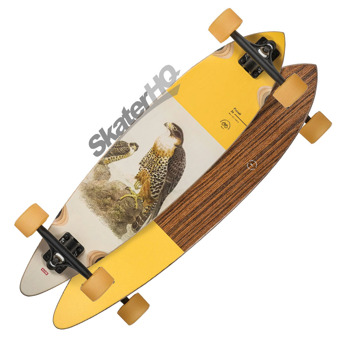 Globe Pintail 34 Complete - Falcon Skateboard Completes Longboards