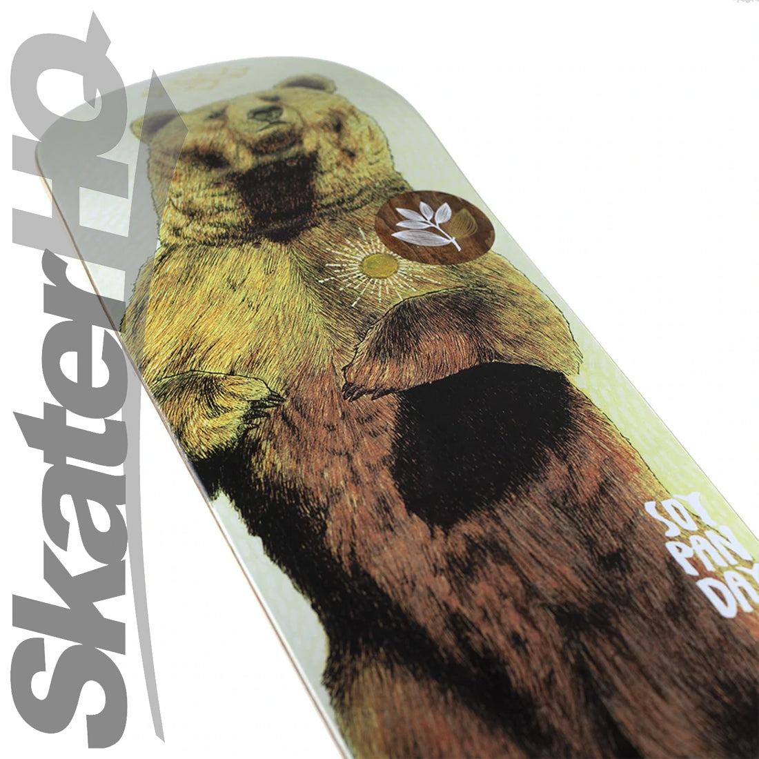 Magenta Zoo Panday 8.125 Deck - Bear Skateboard Decks Modern Street